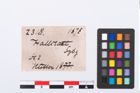Etikett zu Bronzezierniet (NHMW-PRAE-002318)
